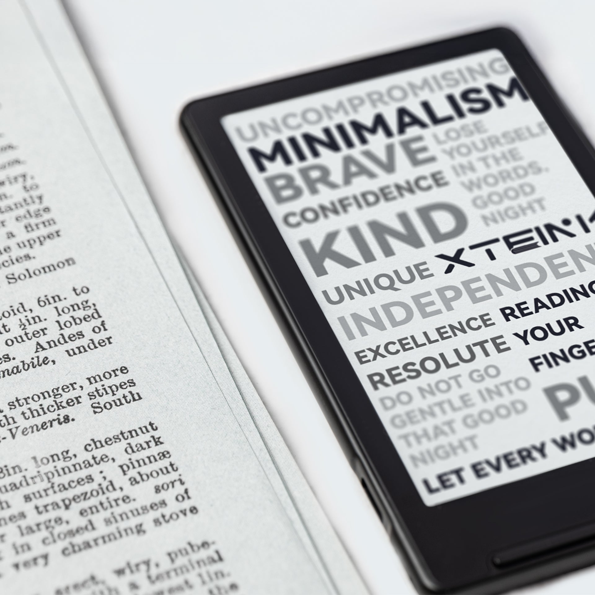 Đọc sách thuần túy — E-Ink trong bóng tối